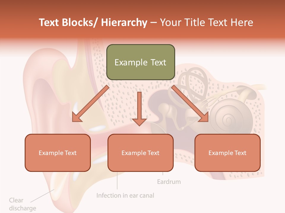 Eustachian Inner Sound PowerPoint Template