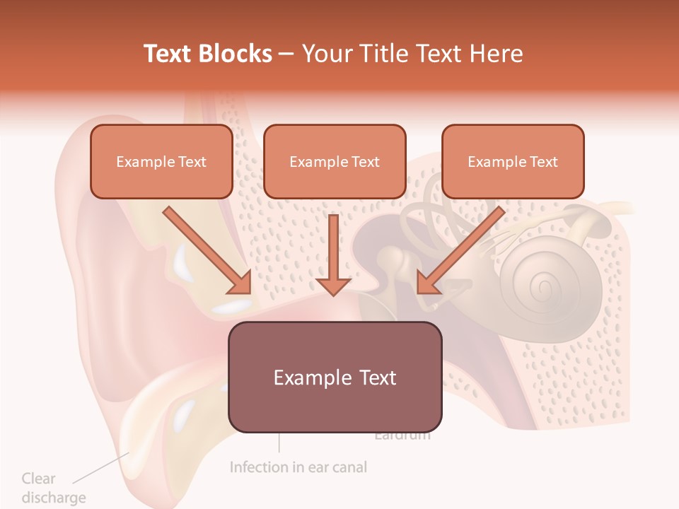 Eustachian Inner Sound PowerPoint Template