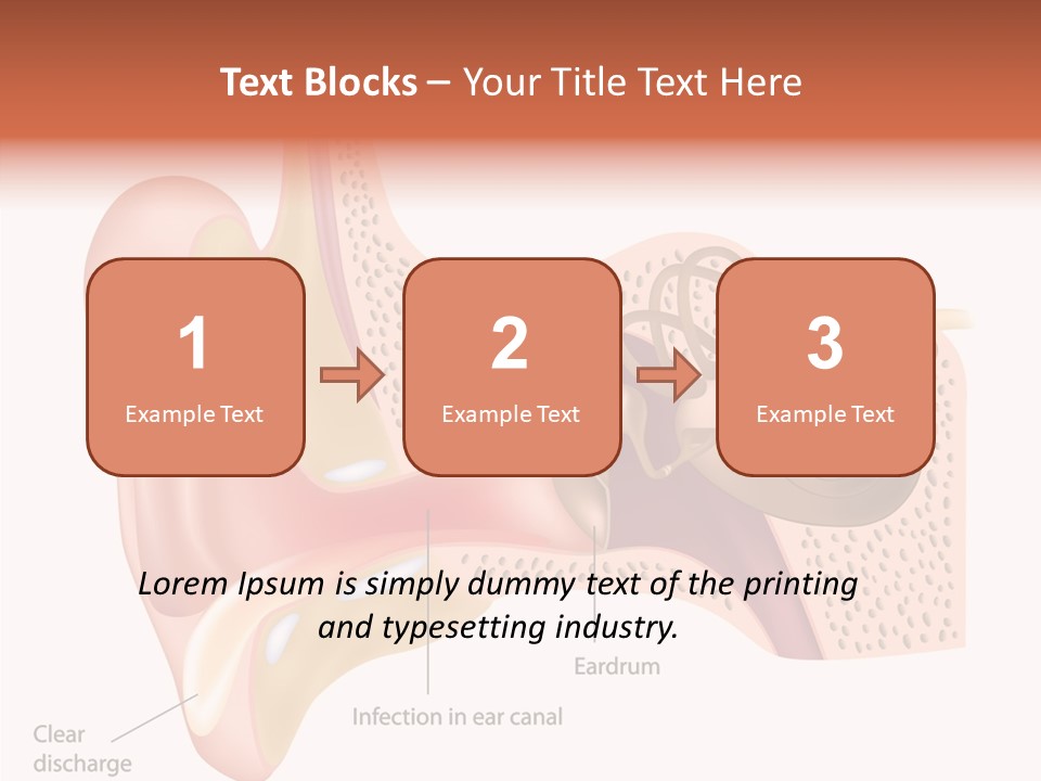 Eustachian Inner Sound PowerPoint Template