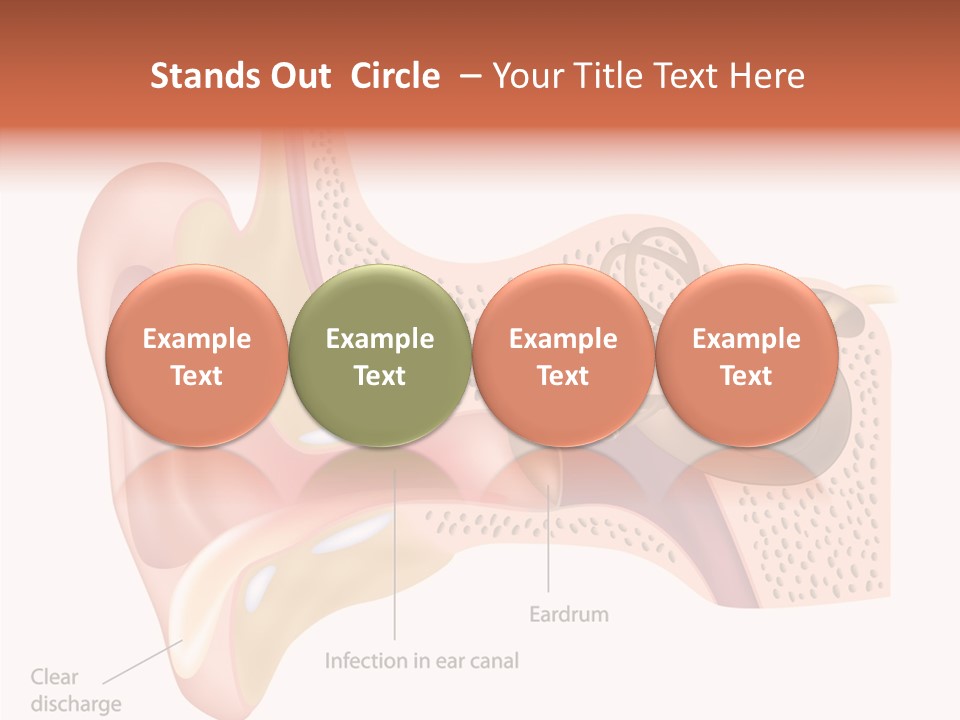 Eustachian Inner Sound PowerPoint Template