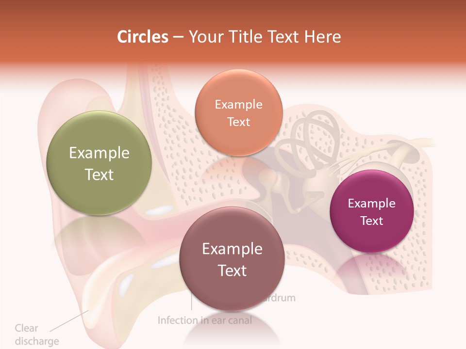 Eustachian Inner Sound PowerPoint Template