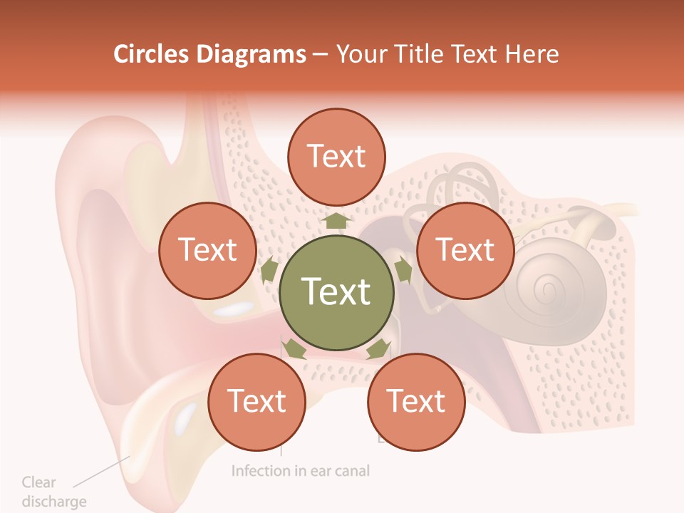 Eustachian Inner Sound PowerPoint Template