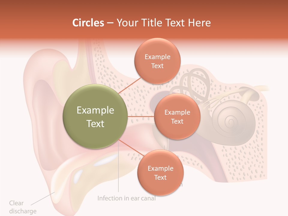 Eustachian Inner Sound PowerPoint Template