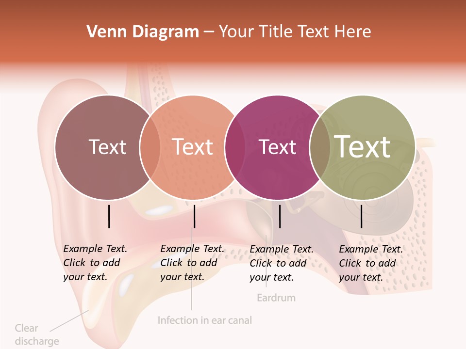 Eustachian Inner Sound PowerPoint Template