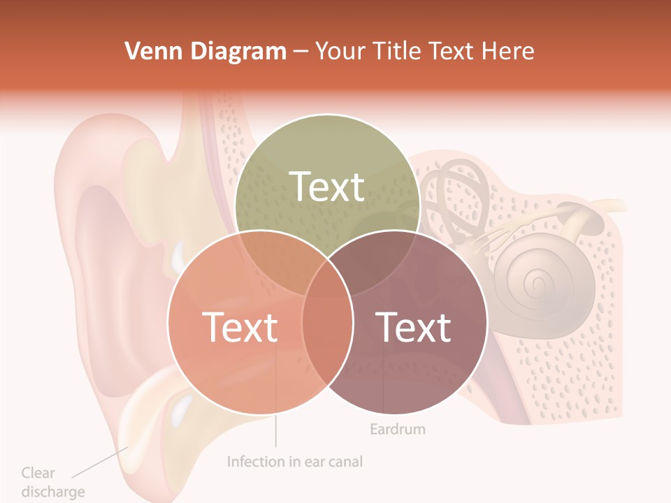 Eustachian Inner Sound PowerPoint Template