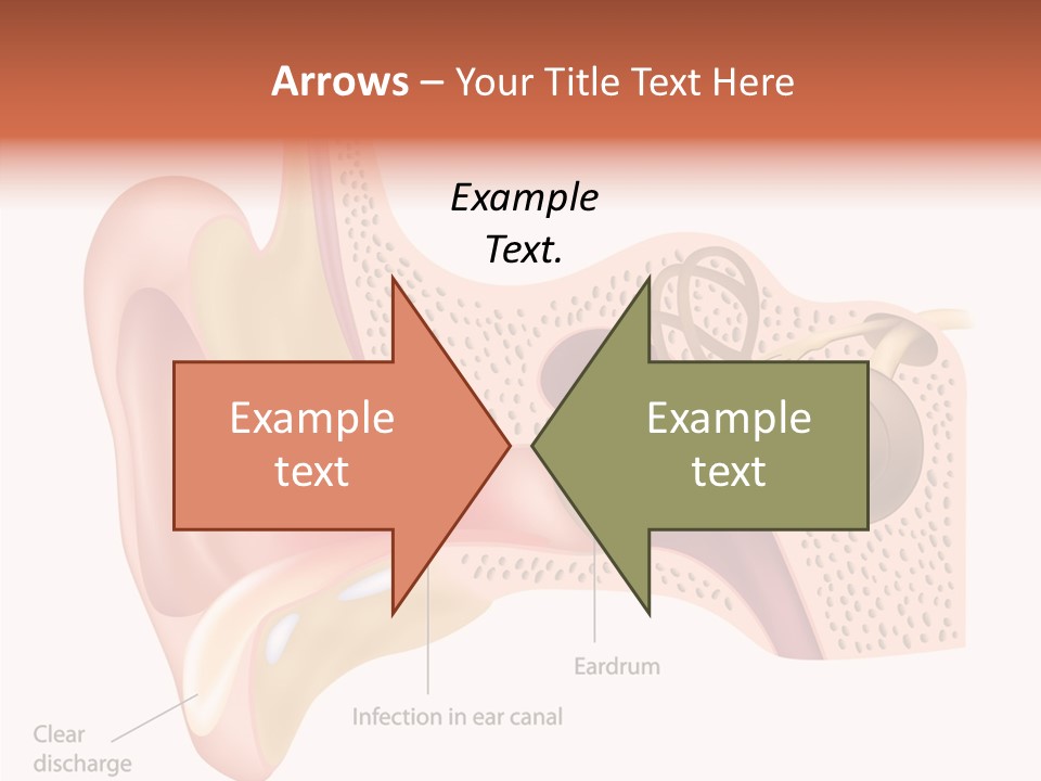 Eustachian Inner Sound PowerPoint Template