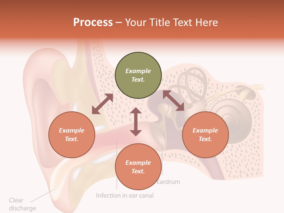 Eustachian Inner Sound PowerPoint Template