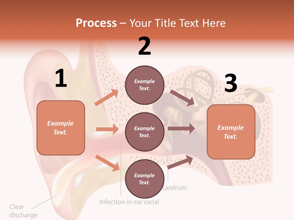 Eustachian Inner Sound PowerPoint Template