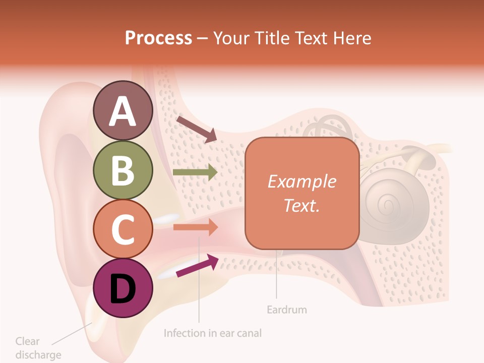Eustachian Inner Sound PowerPoint Template