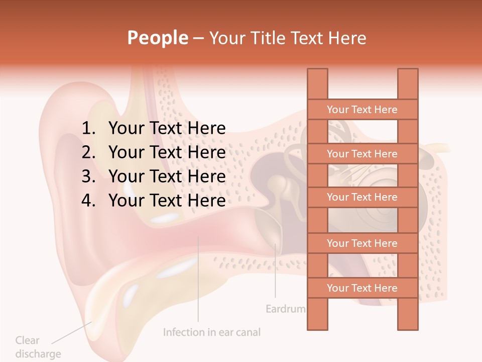 Eustachian Inner Sound PowerPoint Template