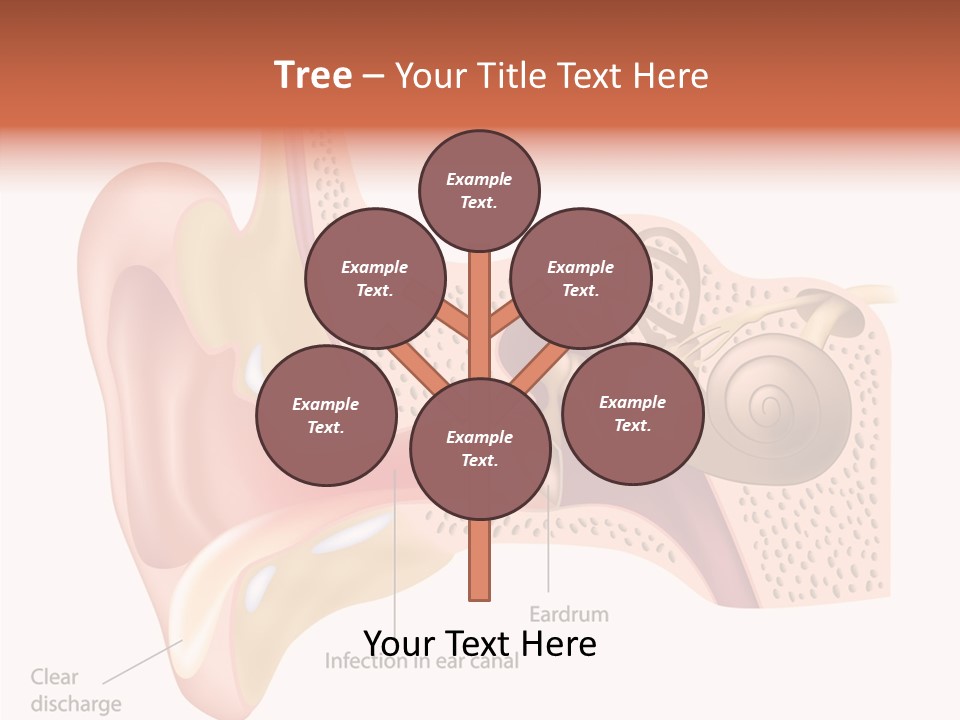 Eustachian Inner Sound PowerPoint Template