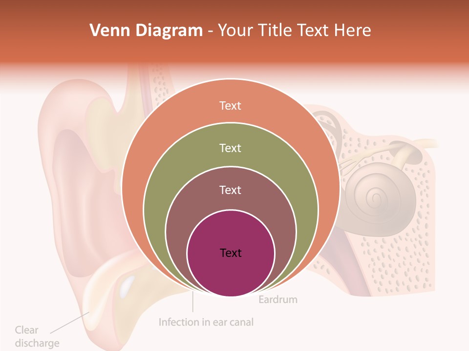 Eustachian Inner Sound PowerPoint Template