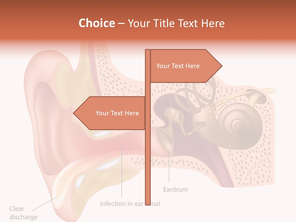 Eustachian Inner Sound PowerPoint Template