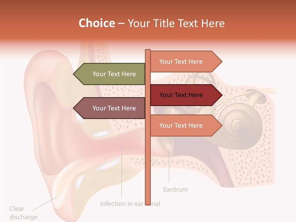 Eustachian Inner Sound PowerPoint Template