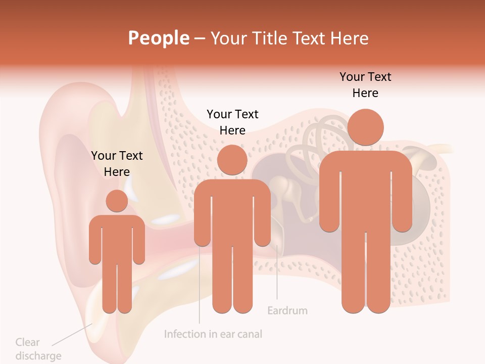 Eustachian Inner Sound PowerPoint Template