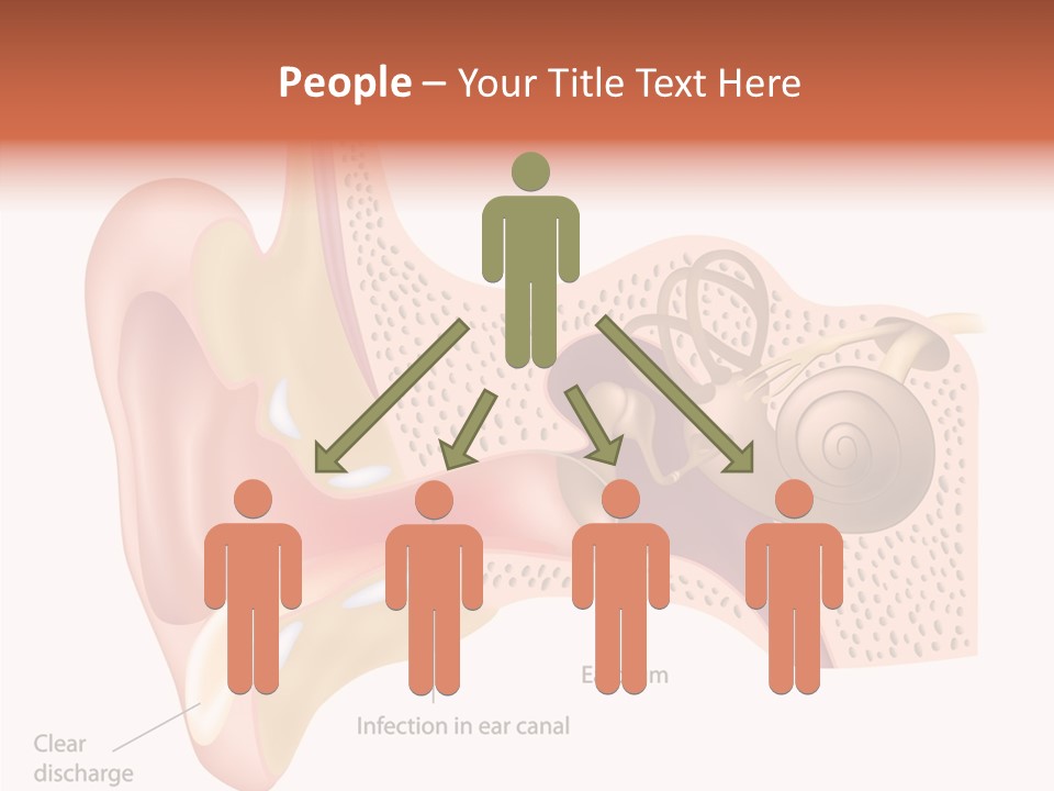 Eustachian Inner Sound PowerPoint Template