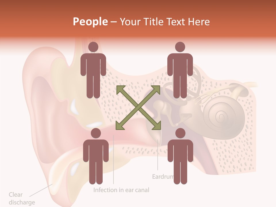 Eustachian Inner Sound PowerPoint Template