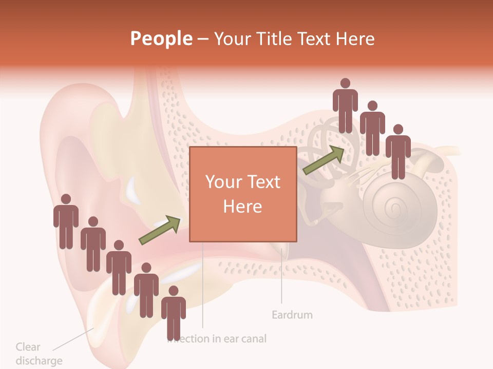 Eustachian Inner Sound PowerPoint Template