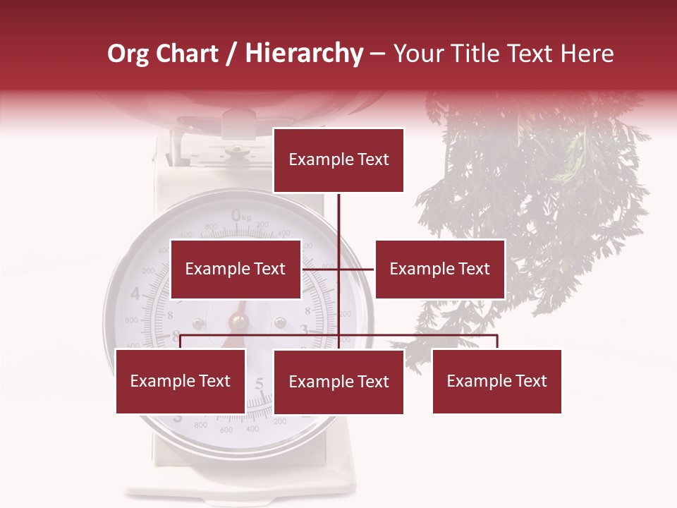 Kitchen Scale Scale Loss Of Weight PowerPoint Template