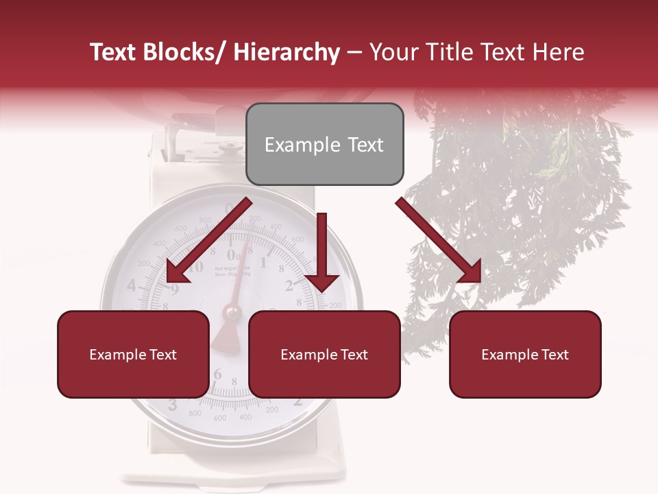 Kitchen Scale Scale Loss Of Weight PowerPoint Template