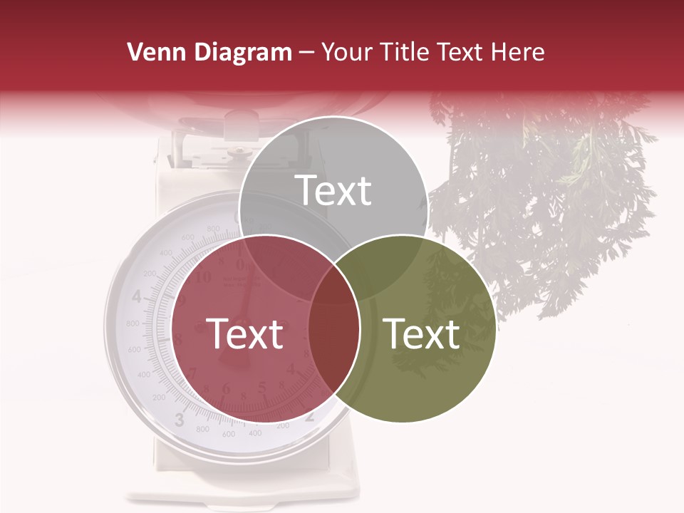 Kitchen Scale Scale Loss Of Weight PowerPoint Template