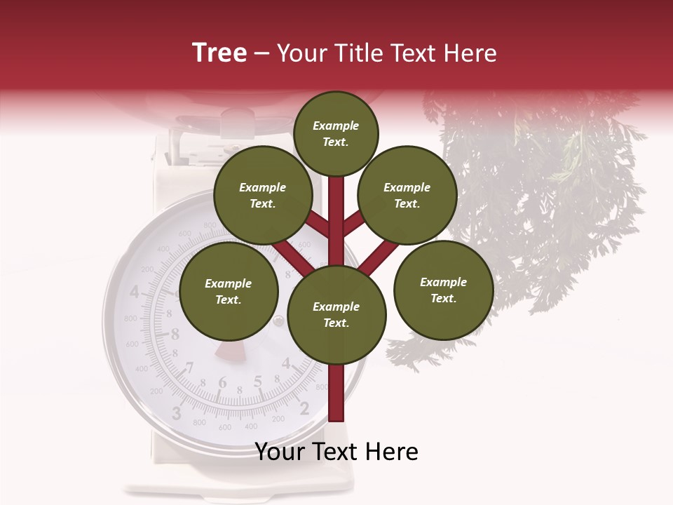 Kitchen Scale Scale Loss Of Weight PowerPoint Template