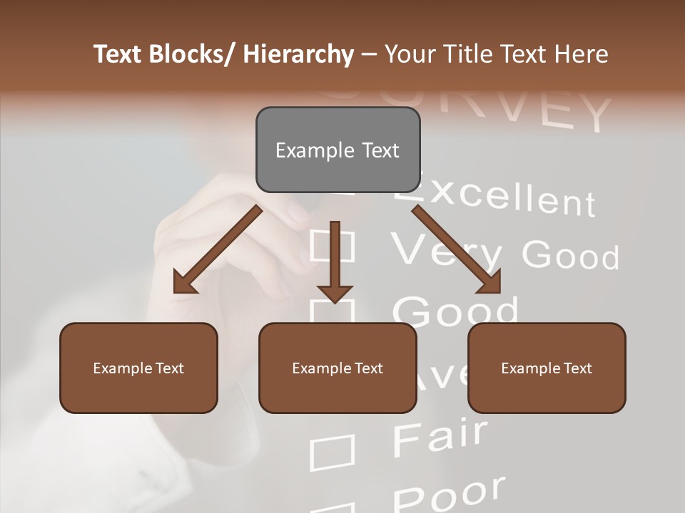 Adult Background Answer PowerPoint Template