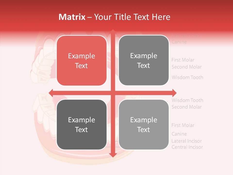 Lady Beauty Background PowerPoint Template