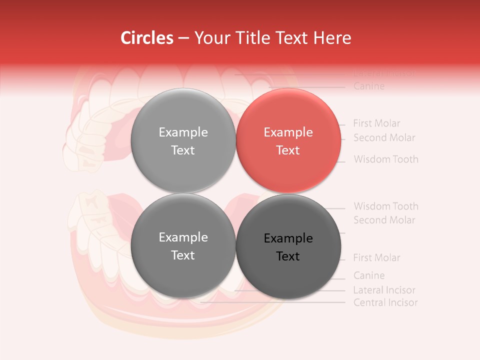 Lady Beauty Background PowerPoint Template