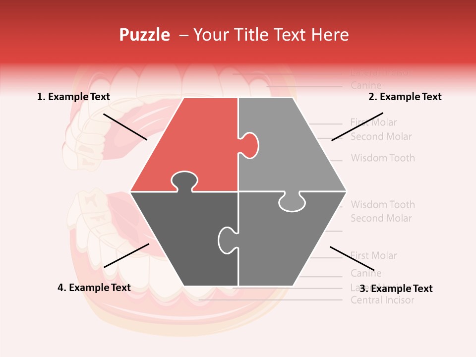 Lady Beauty Background PowerPoint Template