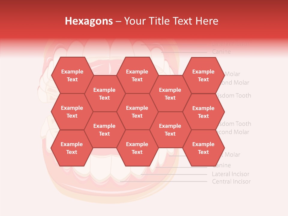 Lady Beauty Background PowerPoint Template