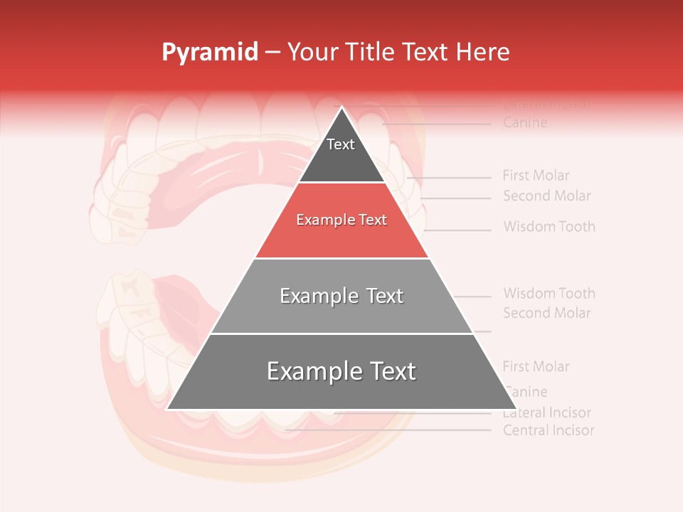 Lady Beauty Background PowerPoint Template