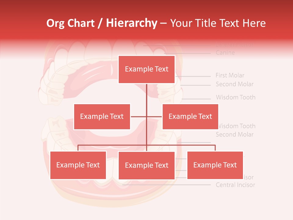 Lady Beauty Background PowerPoint Template