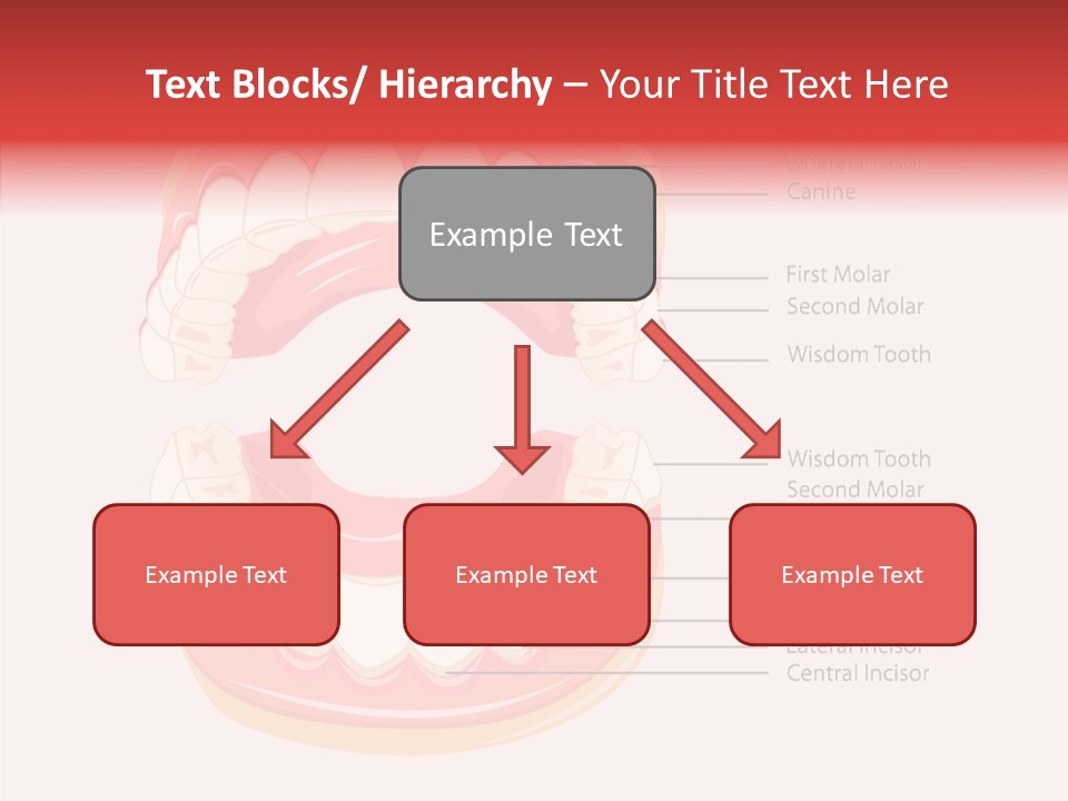 Lady Beauty Background PowerPoint Template