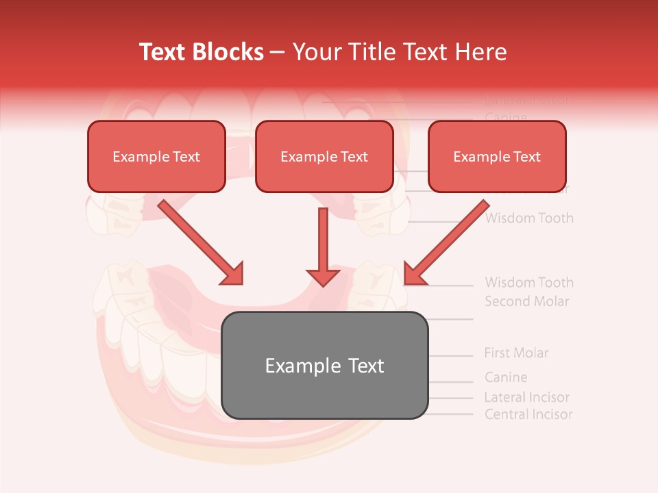 Lady Beauty Background PowerPoint Template