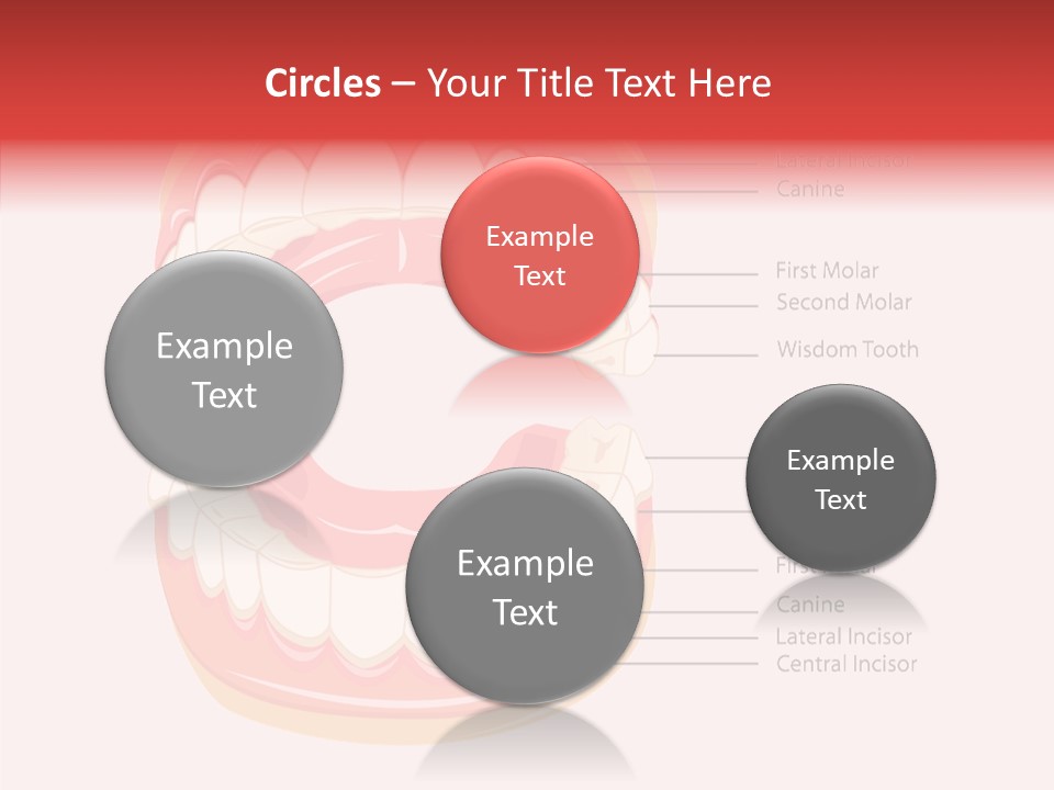 Lady Beauty Background PowerPoint Template