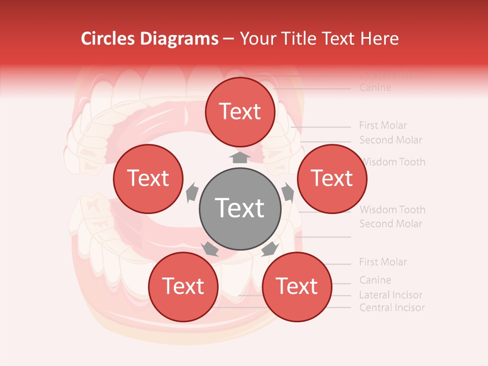 Lady Beauty Background PowerPoint Template