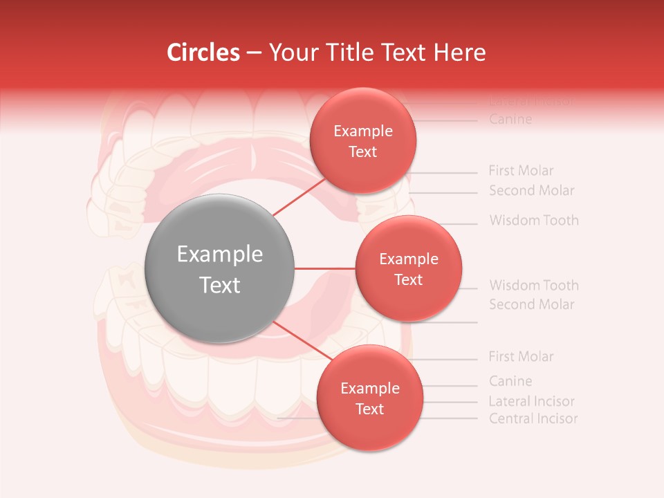 Lady Beauty Background PowerPoint Template