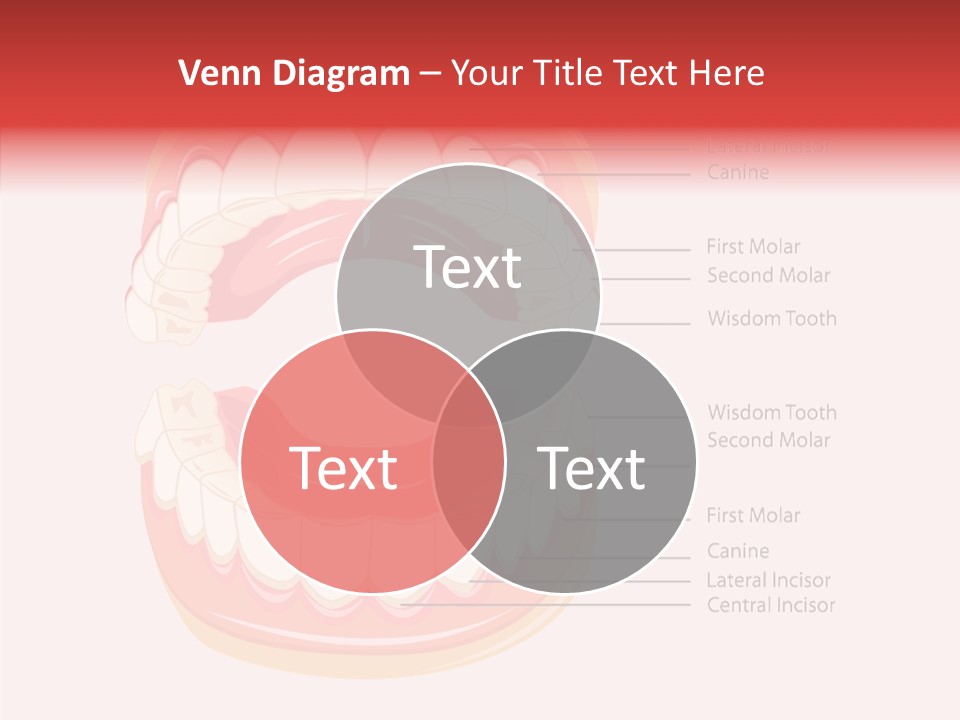 Lady Beauty Background PowerPoint Template