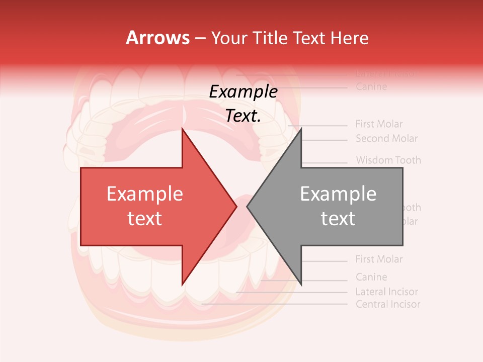 Lady Beauty Background PowerPoint Template