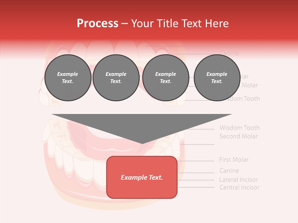 Lady Beauty Background PowerPoint Template