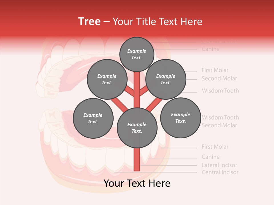 Lady Beauty Background PowerPoint Template