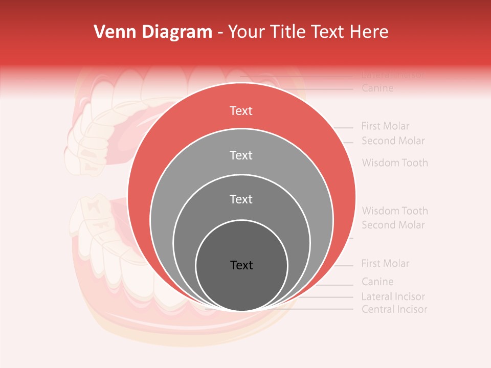 Lady Beauty Background PowerPoint Template