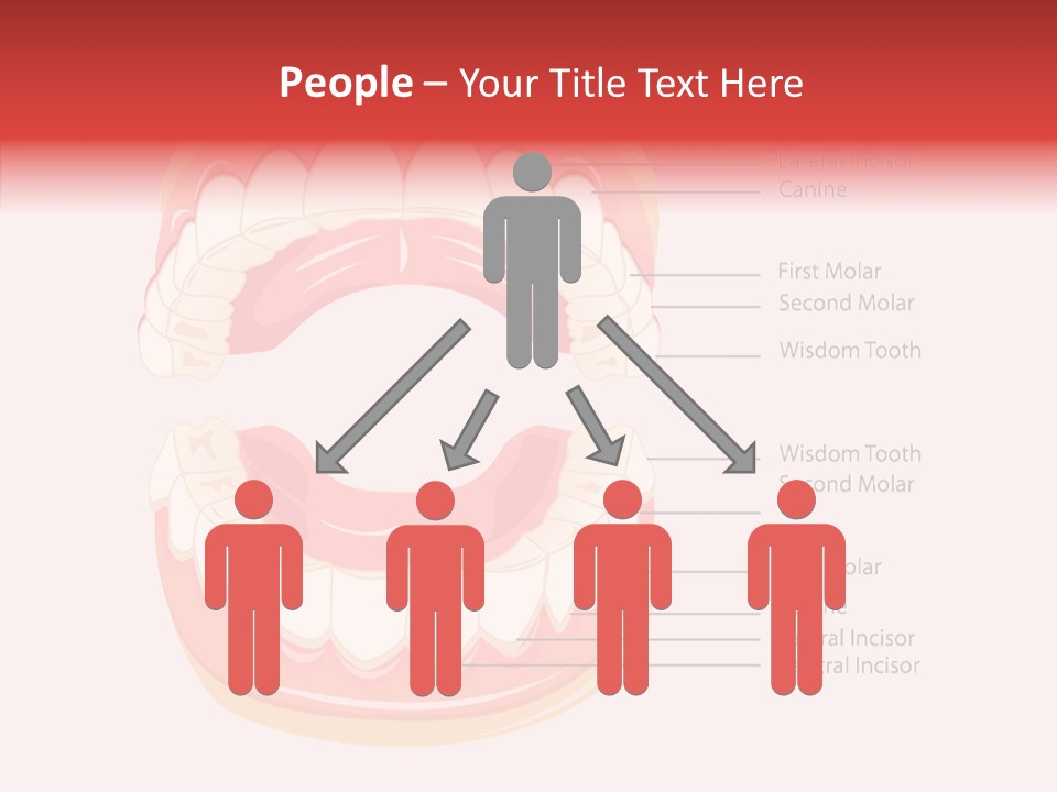 Lady Beauty Background PowerPoint Template