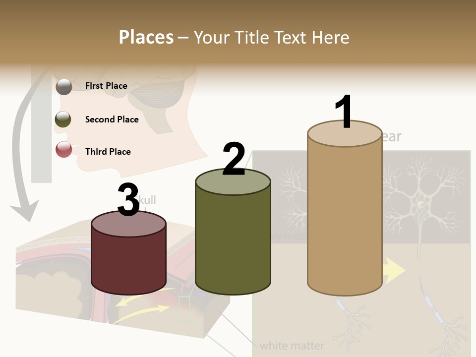 Healthcare Matter Mater PowerPoint Template