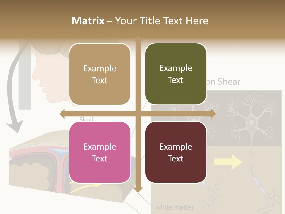 Healthcare Matter Mater PowerPoint Template
