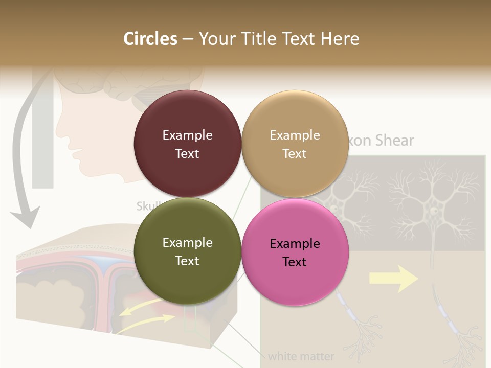 Healthcare Matter Mater PowerPoint Template