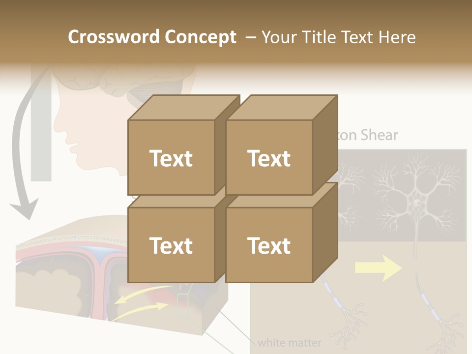 Healthcare Matter Mater PowerPoint Template