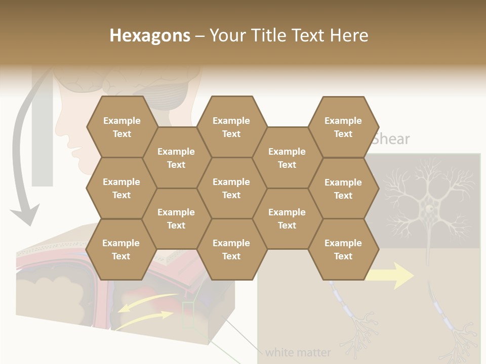 Healthcare Matter Mater PowerPoint Template