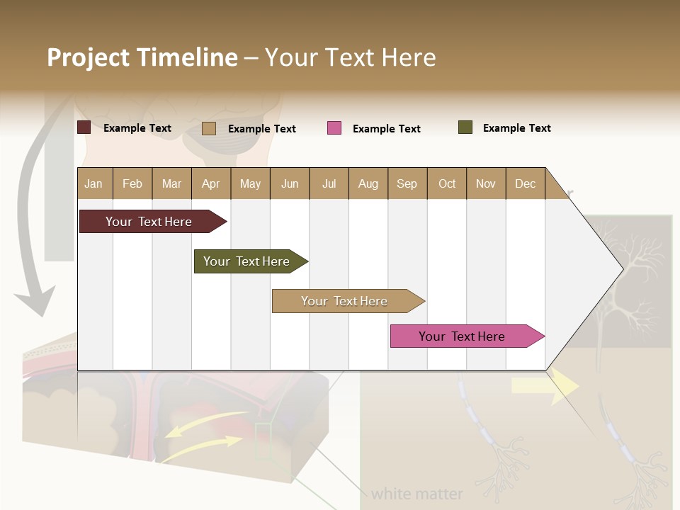 Healthcare Matter Mater PowerPoint Template